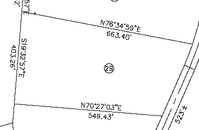 Lot 29